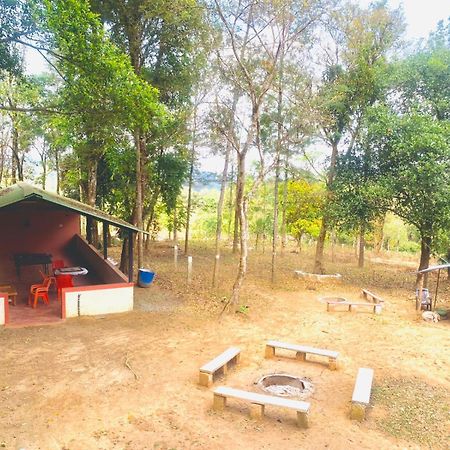 Shrenya Orchidz-Coorg Nature Stay マディケーリ エクステリア 写真