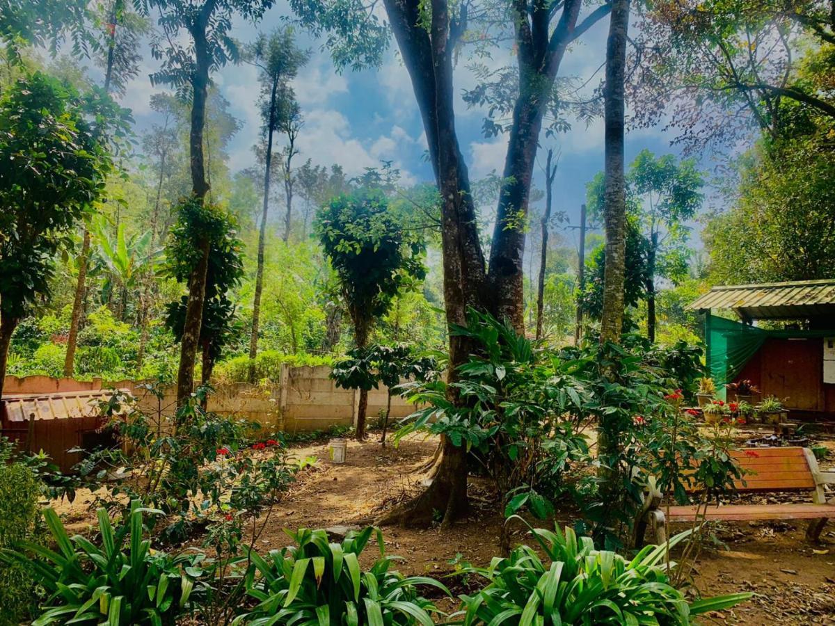 Shrenya Orchidz-Coorg Nature Stay マディケーリ エクステリア 写真