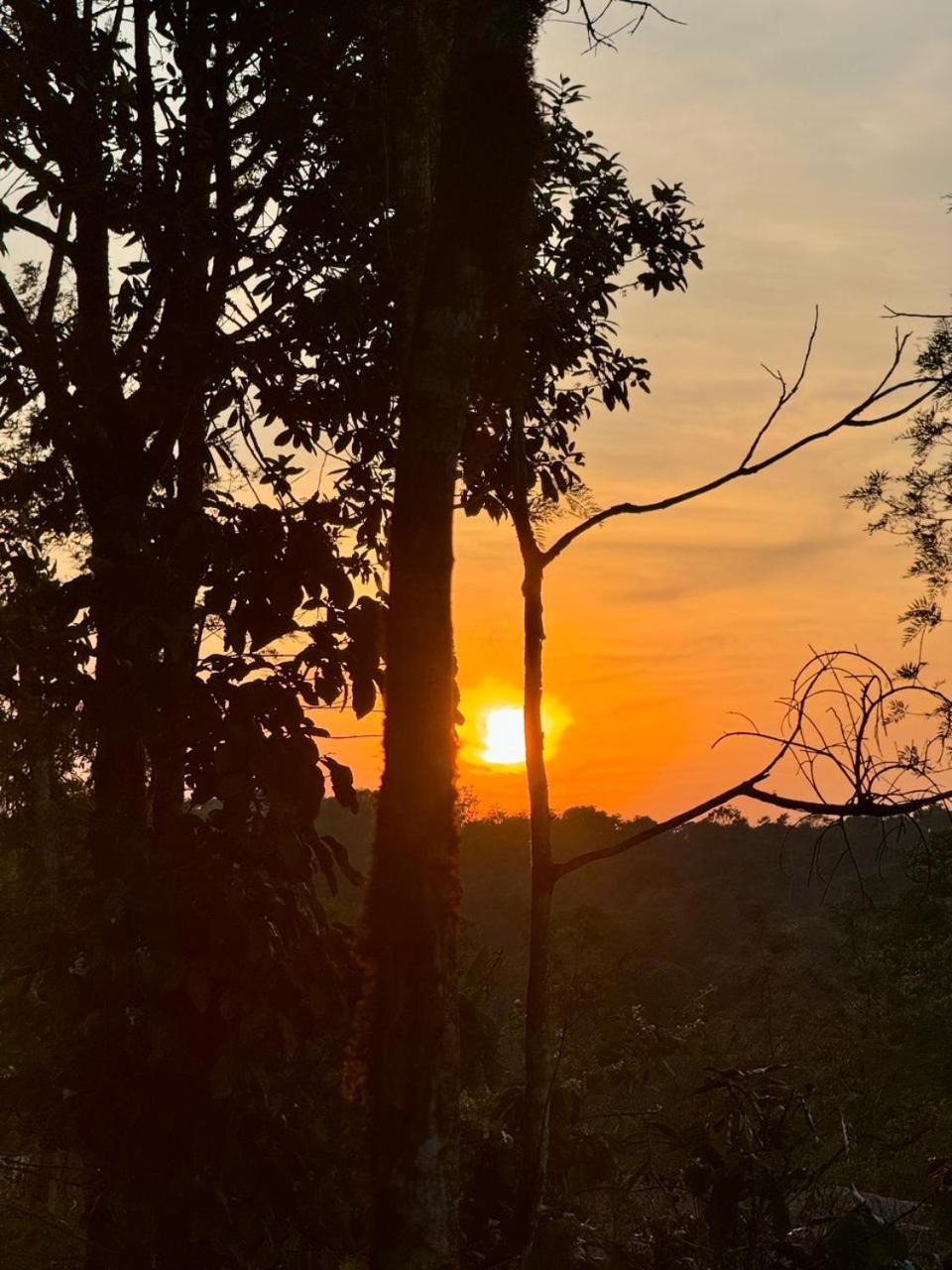 Shrenya Orchidz-Coorg Nature Stay マディケーリ エクステリア 写真