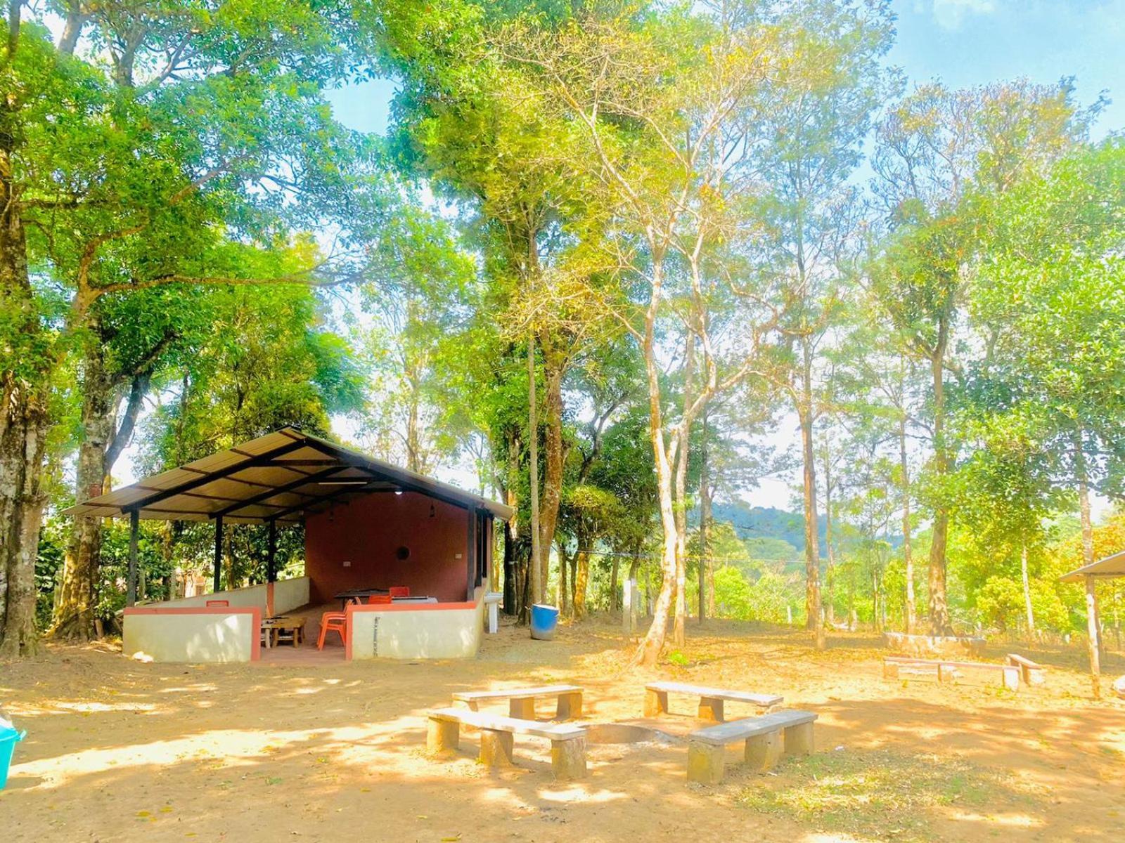Shrenya Orchidz-Coorg Nature Stay マディケーリ エクステリア 写真